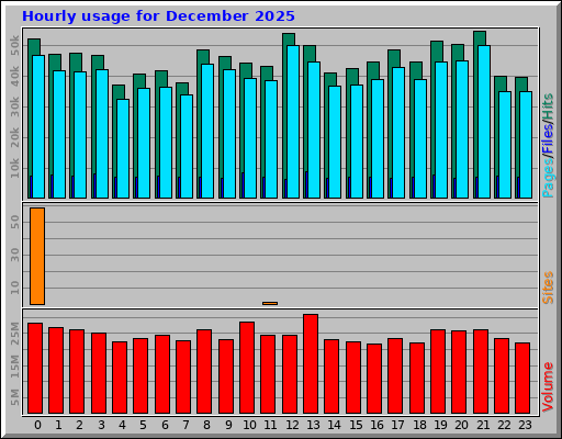 Hourly usage for December 2025